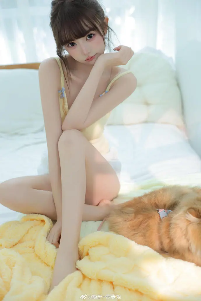 喵喵大作战游戏界面