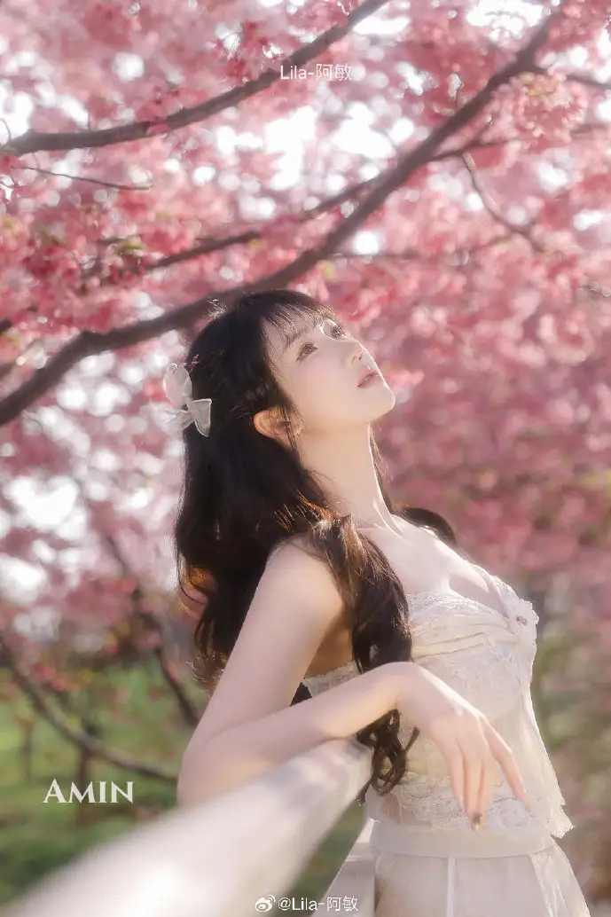 韦氏词典界面对比